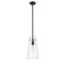 Z-Lite Kira Pendant, 1-Light, 6.5 In.W x 13 In.H, Matte Black/Clear 7508P-ROD-MB - alternate 8
